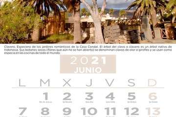  Telde pone en valor su patrimonio vegetal con un almanaque con los árboles más singulares/TA.